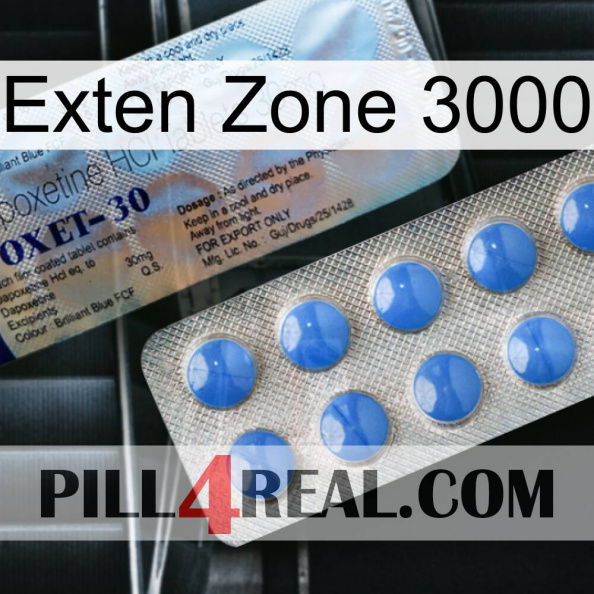 Exten Zone 3000 39.jpg